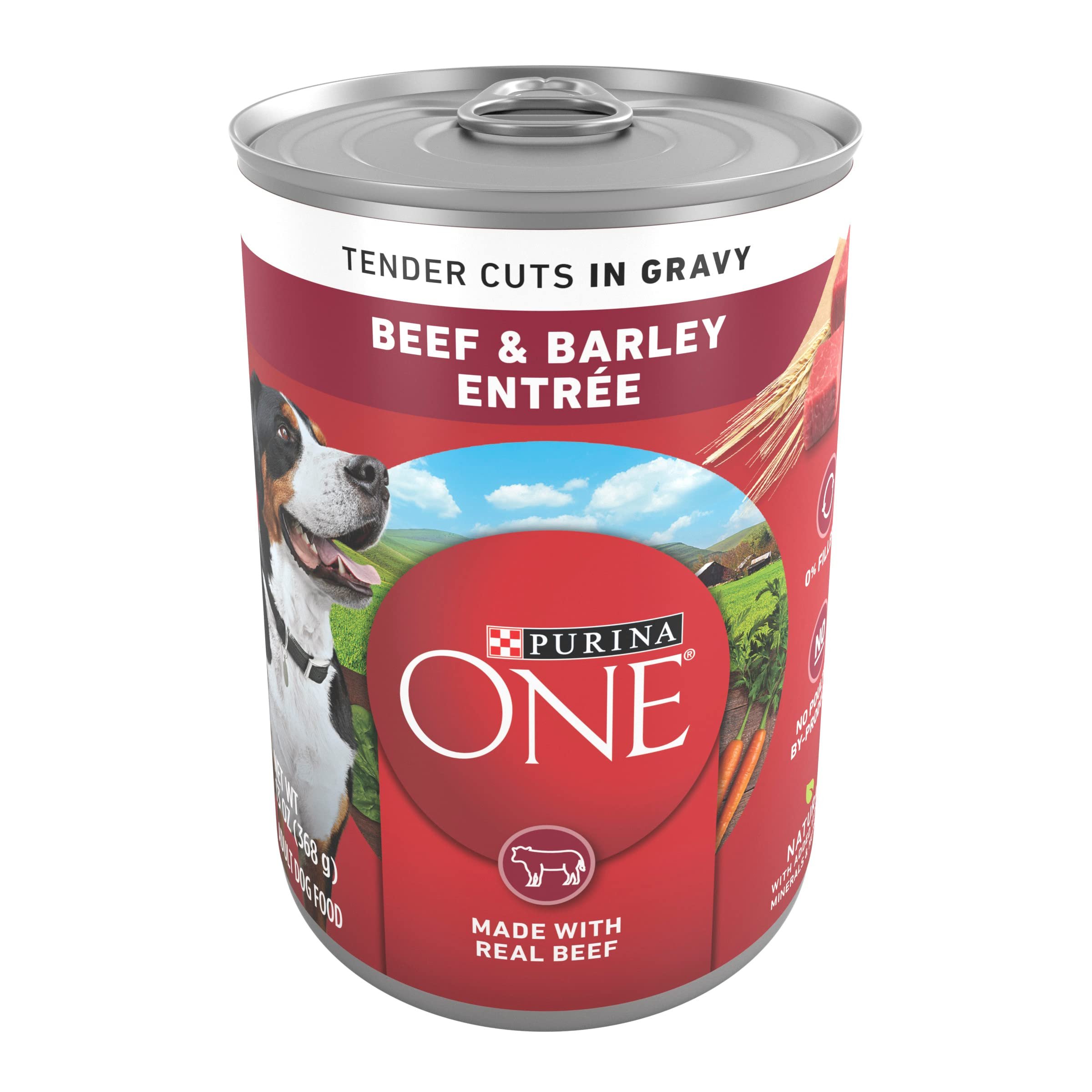 Purina ONE Natural Wet Dog Food Gravy, Tender Cuts in Gravy Beef and Barley Entrée - 13 Ounce (Pack of 12) - Product Image