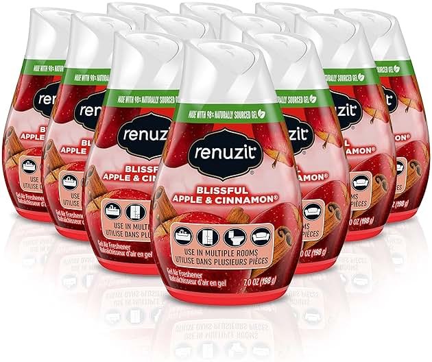 Renuzit - 1717587 Blissful Apple & Cinnamon Adjustable Gel Air Freshener, 7oz Cone (Pack of 12) - Product Image
