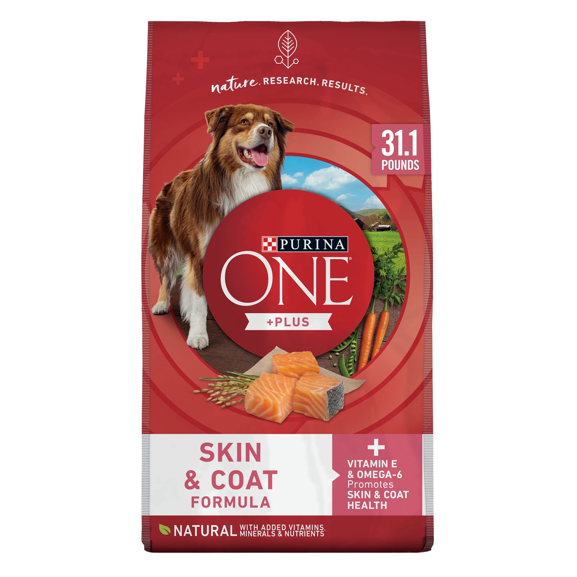 Purina ONE Natural, Sensitive Stomach Dry Dog Food, +Plus Skin & Coat Formula - 31.1 lb. Bag - Product Image