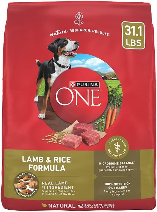 Purina ONE Dry Dog Food Lamb and Rice Formula - 31.1 lb. Bag - Product Image
