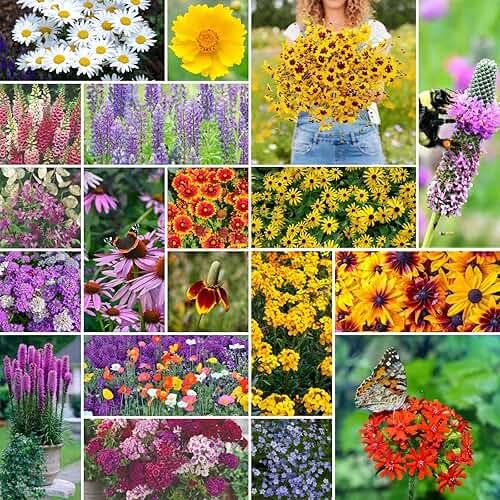 Eden Brothers All Perennial Wildflower Seed Mix for Planting, 1/4 lb, 120,000+ Seeds, Throw and Grow 19 Flower Varieties, Non-GMO Covers 250-500 Sq Ft, Attracts Pollinators, Spring or Fall, Zones 3-10 - Product Image