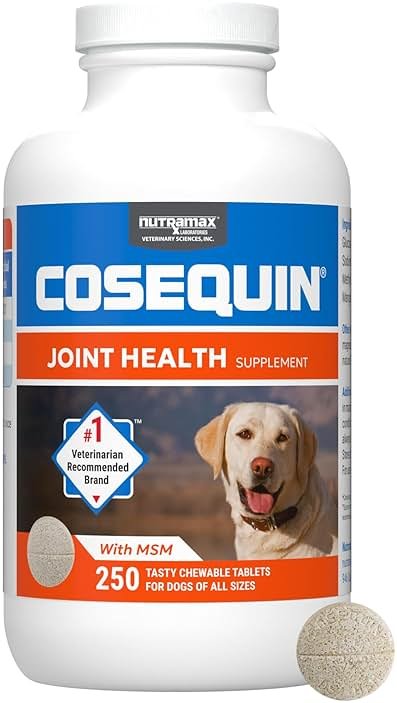 Nutramax Cosequin for Dogs Joint Health Supplement, Contains Glucosamine for Dogs, Plus Chondroitin and MSM, Supports Healthy Joints, Chewable Tablets, 250 Count - Product Image