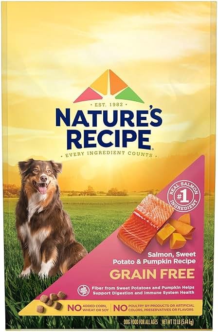Nature's Recipe Grain Free Dry Dog Food, Salmon, Sweet Potato & Pumpkin Recipe, 12 lb. Bag - Product Image