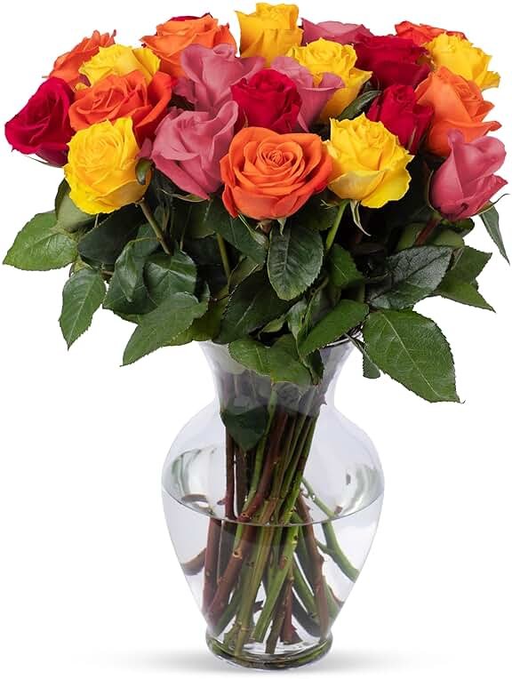 Benchmark Bouquets Two Dozen Long Stem Rose Bouquet – Real Fresh Flowers for Delivery – Mother’s Day Roses Assorted Colors – Gifts for Mom, Birthdays & Celebrations – Glass Vase Included - Product Image