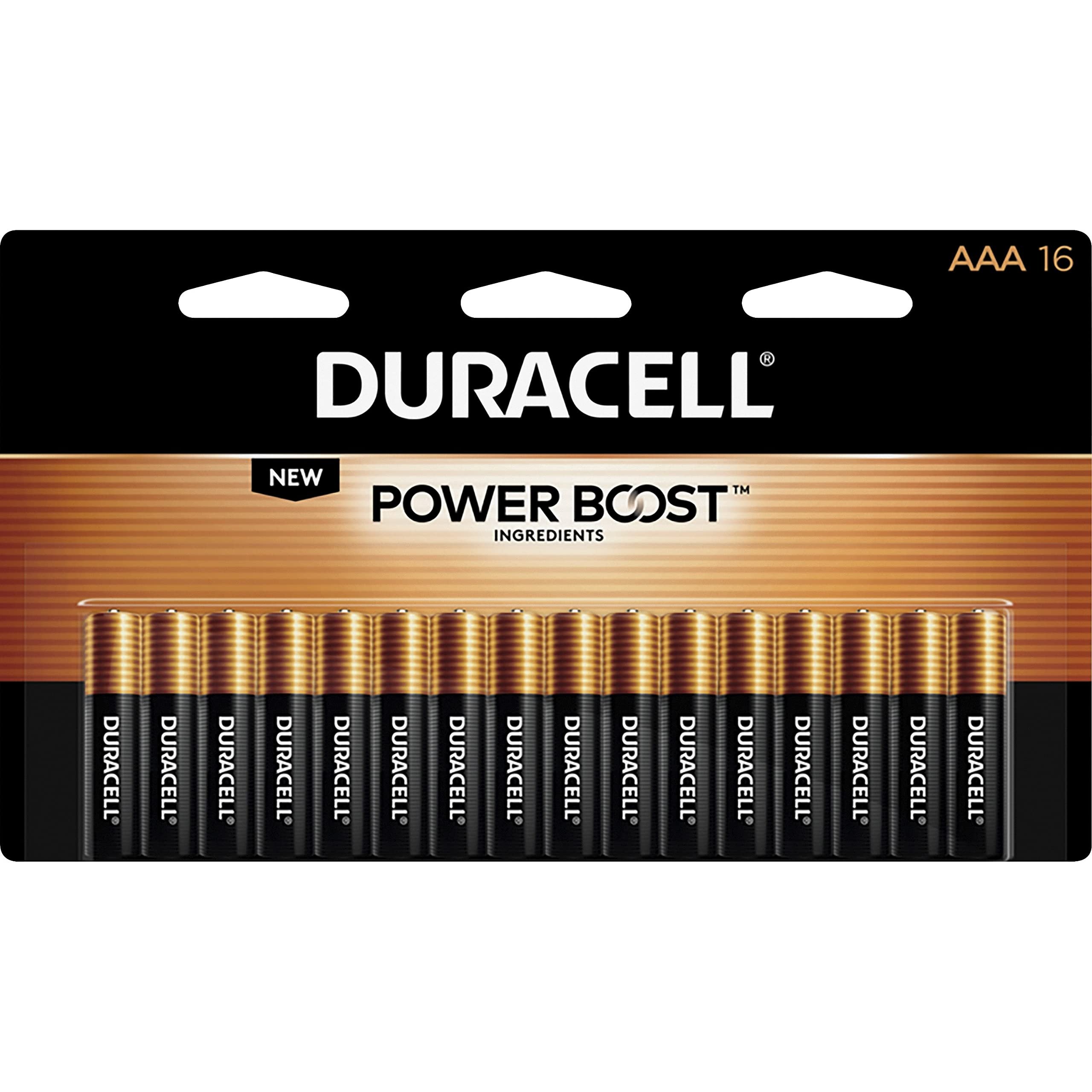 Duracell - CopperTop Alkaline Batteries with Duralock Power Preserve Technology, AAA, 16/Pk MN2400B16Z (DMi PK - Product Image