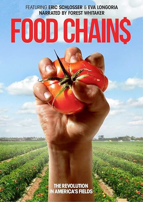 Food Chains - Product Image