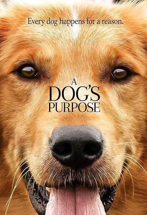 A Dog's Purpose [DVD] - Product Image