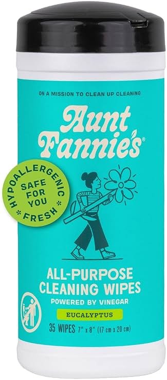 Aunt Fannie's Natural Cleaning Vinegar Wipes, Multipurpose Surface Cleaner, Eucalyptus Scent, 35 Count (Pack of 1) - Product Image