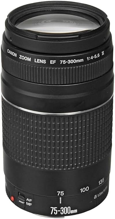 Canon EF 75-300mm f/4-5.6 III Telephoto Zoom Lens for Canon SLR Cameras, 6473A003 (Renewed) - Product Image