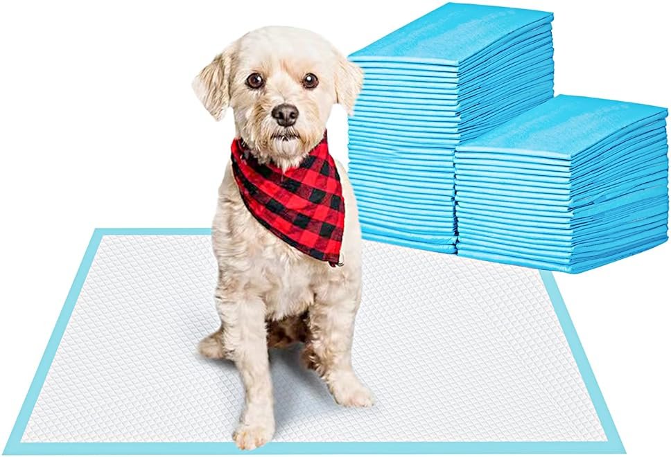 BESTLE Pet Training and Puppy Pads Pee Pads for Dogs 22"x22" Super Absorbent & Leak-Proof - Product Image