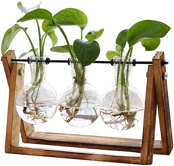 XXXFLOWER Plant Terrarium with Wooden Stand, Air Planter Bulb Glass Vase Metal Swivel Holder Retro Tabletop for Hydroponics Home Garden Office Decoration - 3 Bulb Vase - Product Image