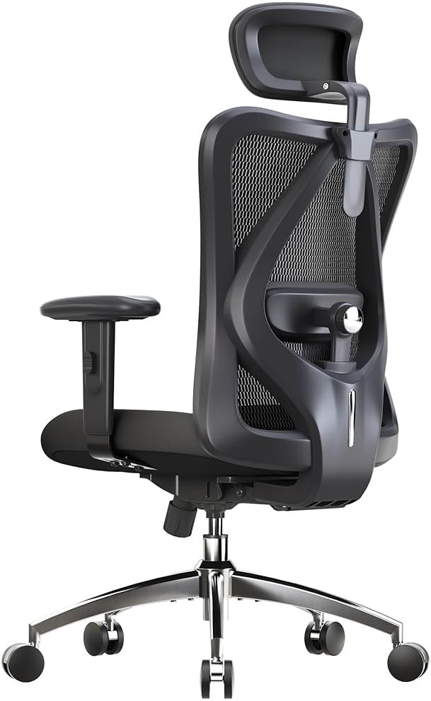 SIHOO M18 Ergonomic Office Chair, High Back Mesh Desk Chair with Adjustable Headrest & Lumbar Support, 330lbs Capacity Computer Chair with 2D Armrests & Wide Cushion, Tilt Lock, for Home Office-Black - Product Image