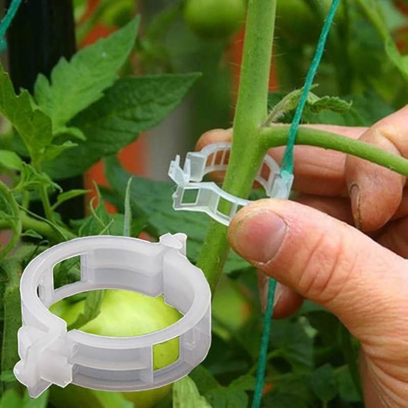 100PCS Plant Support Garden Clips Tomato Clips Supports/Connects Plants/Twine/Vines Trellis/Cages Plant Vine Vegetable Fastening Clip Grafting Tools Make Plant Grow Upright and Healthier (100PCS) - Product Image