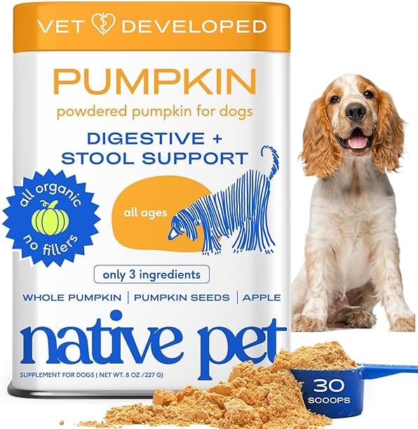 Native Pet Pumpkin for Dogs - Organic Dog Food Topper Powder - Promotes Firm Stools, Supports Digestive, Bowel Health & Nutrient Absorption - USDA Organic, Rich in Fiber with Real Pumpkin - 30 Scoops - Product Image