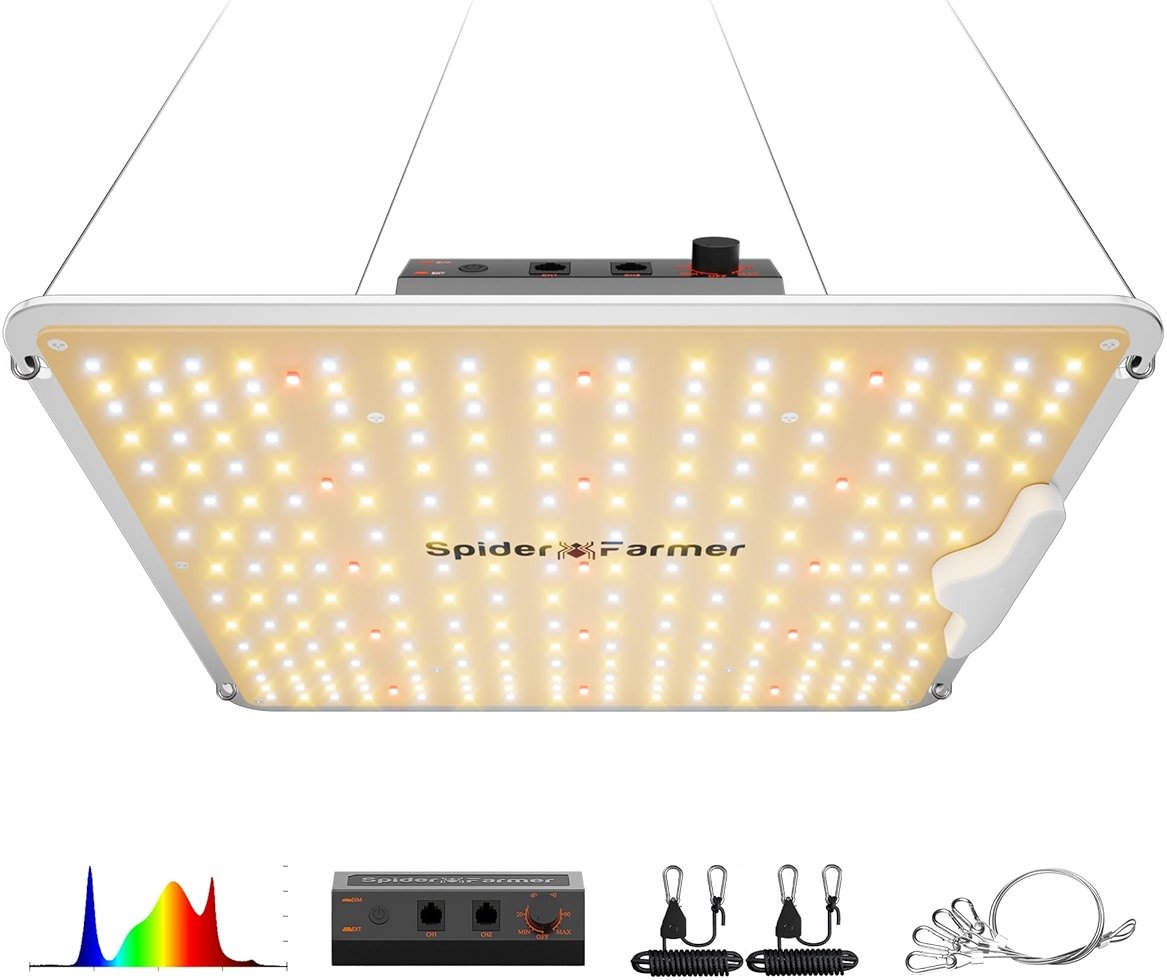 Spider Farmer SF1000 100W LED Grow Light for Indoor Plants, Upgraded High Efficiency LEDs, Dimmable Full Spectrum High PPFD, Deep Penetration for Seed Starting/Vegetables/Bloom in 2x2/3x3 Grow Tent - Product Image
