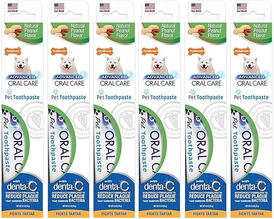 Nylabone Advanced Oral Care Natural Toothpaste - Product Image