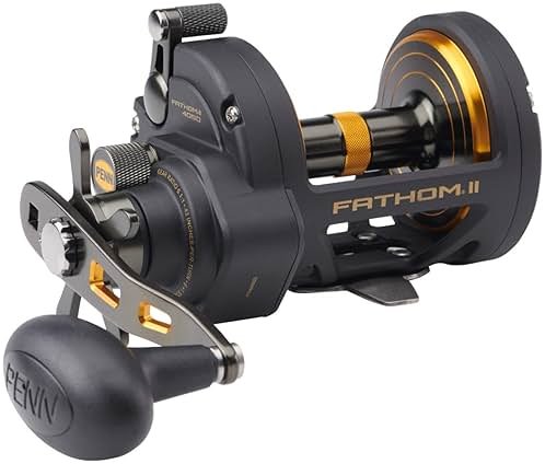 Penn Fathom II Star Drag Reel, Size 40 Fishing Reel, Right Handle Position, Black Gold - Product Image