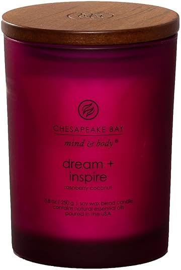 Chesapeake Bay Candle PT41689 Candle Medium Jar Dream & Inspire Home Décor - Product Image