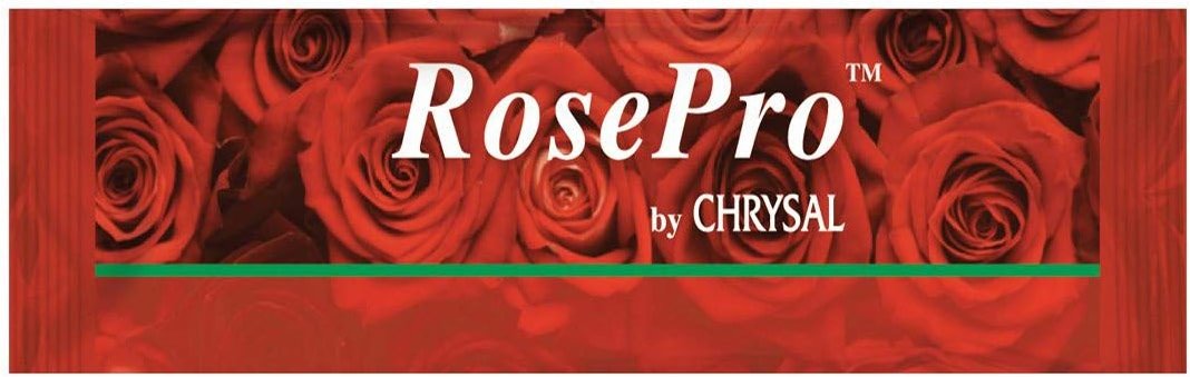 Bloomingmore - Rosepro Liquid Sachets - 1000 ct Sachets. by Chrysal - Product Image