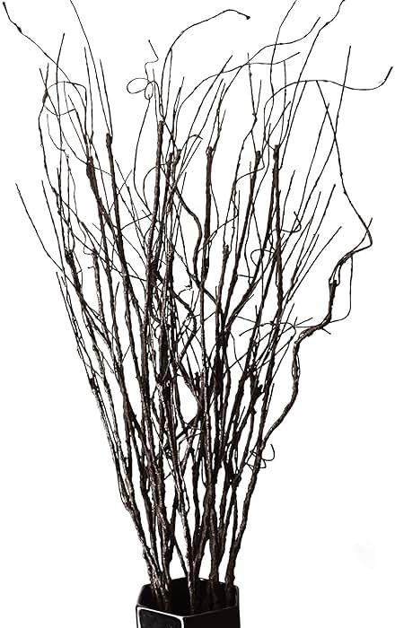 FeiLix 10PCS Lifelike Curly Willow Branches Decorative Dried Artificial Twigs, 30.7 Inches Fake Bendable Sticks Vintage Vines/Stems DIY Greenery Plants Craft Vases Home Garden Hotel Farmhouse Decor - Product Image