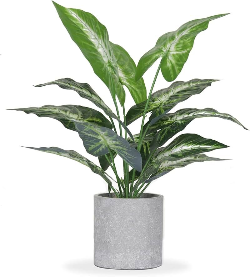 Der Rose JC nateva 16" Small Fake Plants Artificial Tropical Faux Plants Indoor for Office Desk Shelf Bathroom Home Decor - Product Image