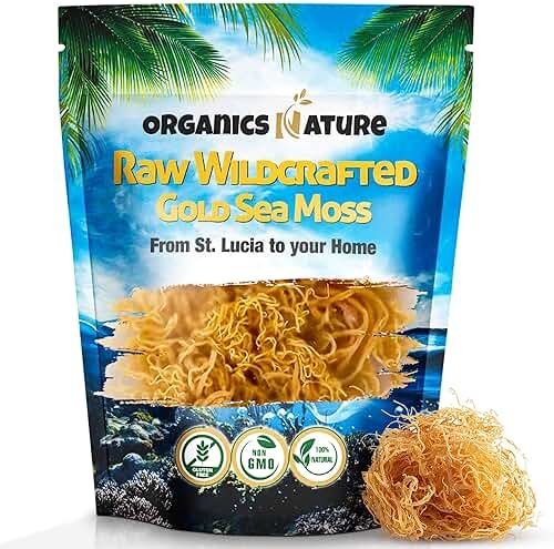 Organics Nature Raw Wildcrafted Sea Moss | Organic Wildcrafted & Non-GMO Certified | Dr Sebi Approved | Make 5 Jars of Sea Moss Gel | Immune Support, Energy &e Essential Minerals & Vitamins 4 oz - Product Image