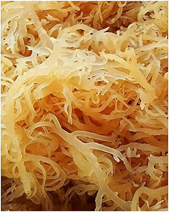 Sea Moss | Irish Sea Moss | Wildcrafted - 100% Natural, Makes 120+ oz of Seamoss Gel | Dr. Sebi - 8oz for Health & Wellness - Product Image