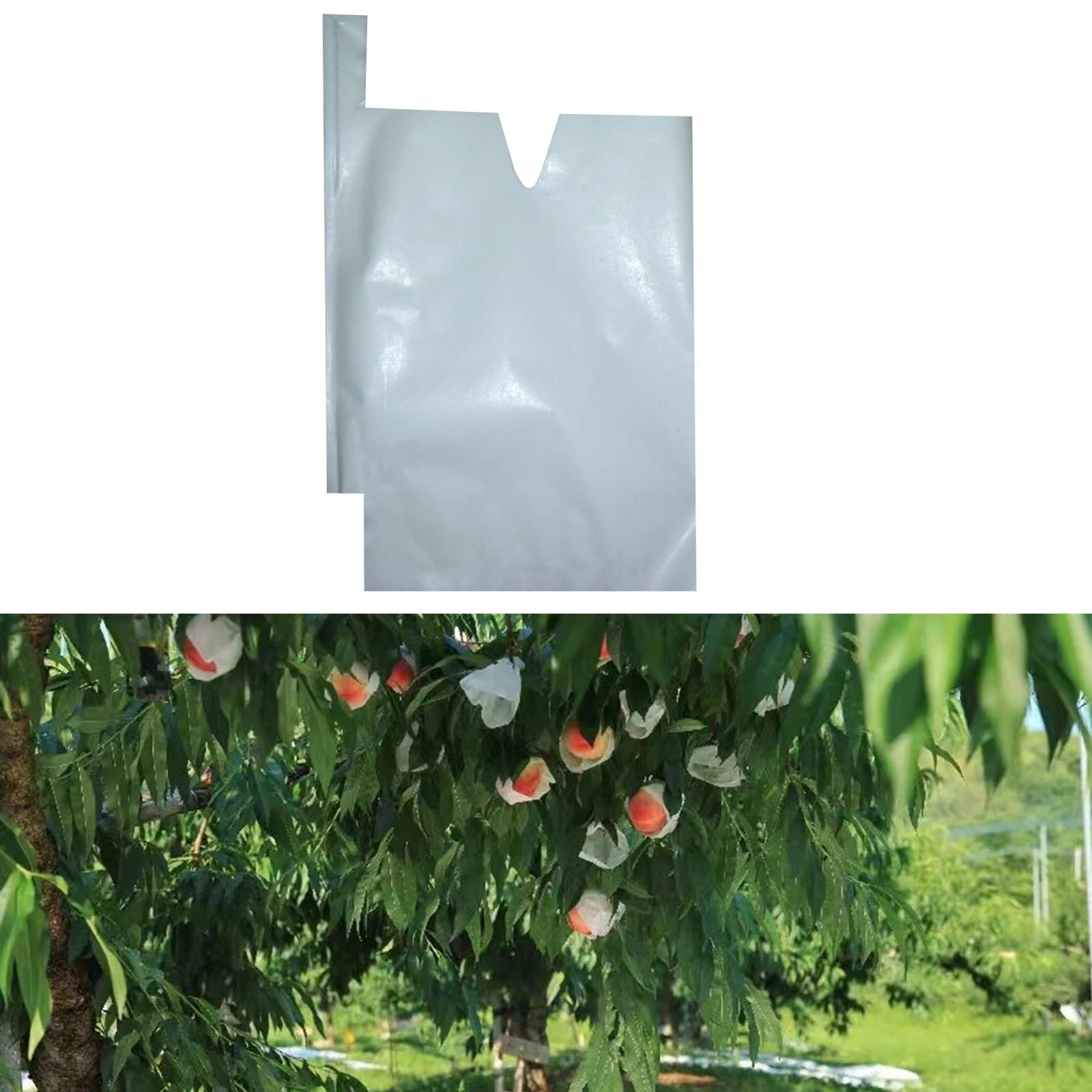 HouWanA Fruit Protection Paper Bags - 100pcs White Protection Covers 6.2x7.7inch, Orchard, Frost, Plants (16x20) - Product Image