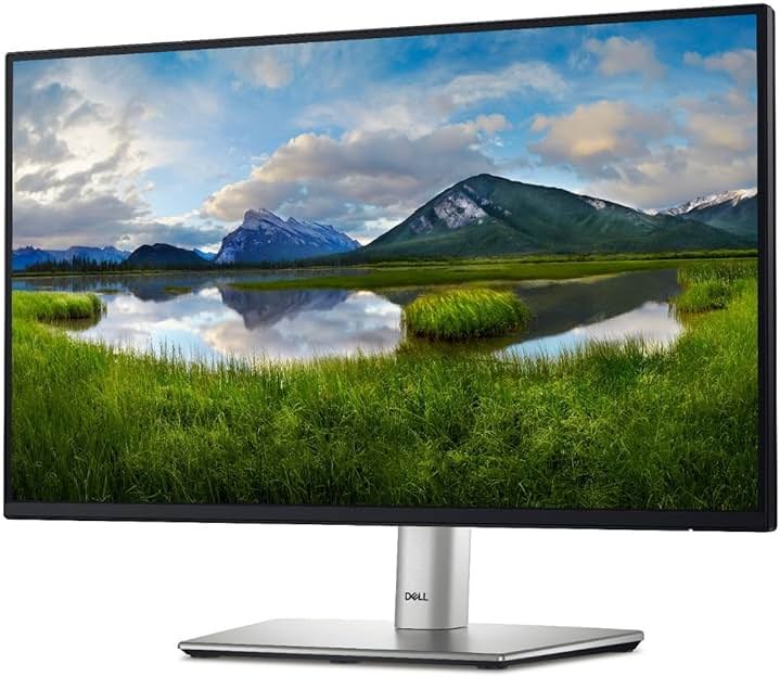Dell 24 Monitor - P2422H - Full HD 1080p, IPS Technology, ComfortView Plus Technology - Product Image