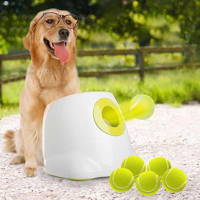 ALL FOR PAWS Automatic Dog Ball Launcher for Medium to Large Dogs, Interactive Tennis Ball Thrower, Rechargeable Dog Toy Mental Stimulation Training Game for Energetic Dogs - Product Image