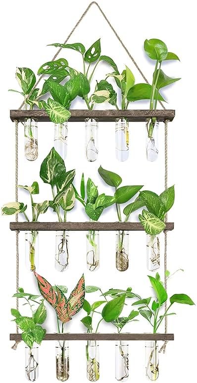 XXXFLOWER Wall Hanging Propagation Station with Wooden Stand 5 Glass Test Tubes 3 Tiered Planters Wall Terrarium for Home Office Plant Hanger Flower Vases Wall Decor Hydroponic Cuttings - Product Image