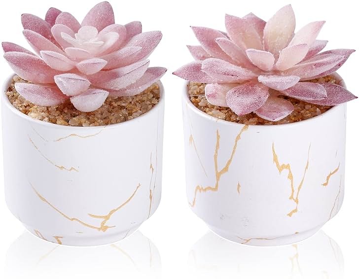 ZENIDA Artificial Plants and Succulents in 2 White Ceramic Pots,Small Fake Plants for Office and Desk Decor,Bathroom, Bedroom,Shelves for Women - Product Image