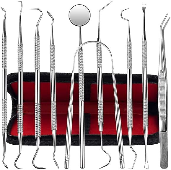 Dental Kit Tools, 10 Pack Stainless Steel Plaque Remover, Dental Tools to Remove Plaque and Tartar, Oral Care Kit with Plaque Cleaner, Tartar Pick, Tooth & Tongue Scraper for Dentist, Personal, Family - Product Image