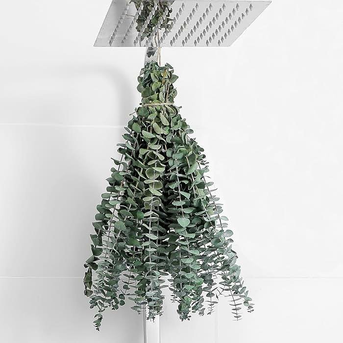 10 Pcs Dried Eucalyptus Stems 17" Real Eucalyptus for Shower Hanging 100% Made from Fresh Leaves, Wedding, Home, Farmhouse, DIY Spring Decor Bathroom Decor Home Decor - Product Image