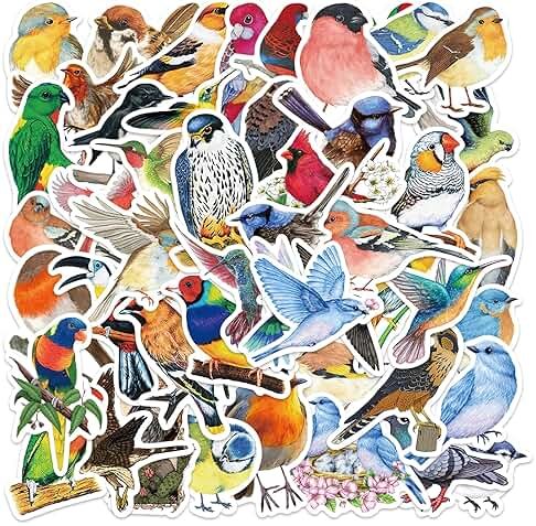 100 PCS Bird Stickers, Vinyl Waterproof Bird Stickers for Water Bottles, Laptop, Notebook, Scrapbook, Luggage, Cell Phone, Skateboard, Helmet - Product Image