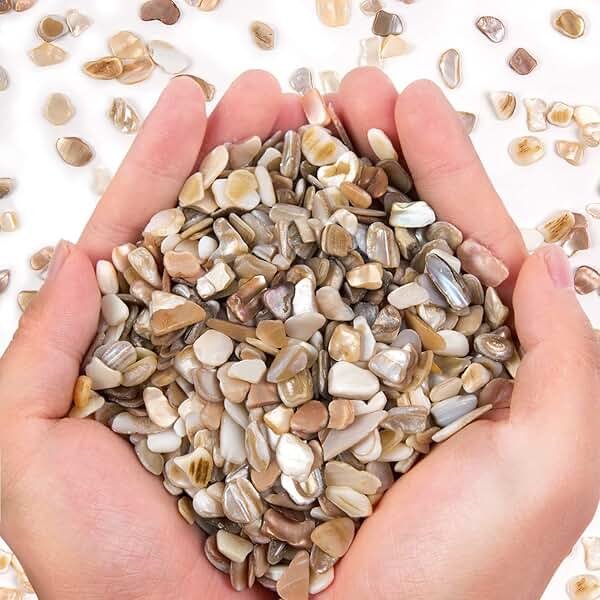 QICQDRAM Crushed Shells for Crafts About 1LB (405g/14.28oz) Small Natural Crushed Shells Bulk for Crafts DIY Beaching Wedding Decoration Vase Fillers (Natural Color) - Product Image