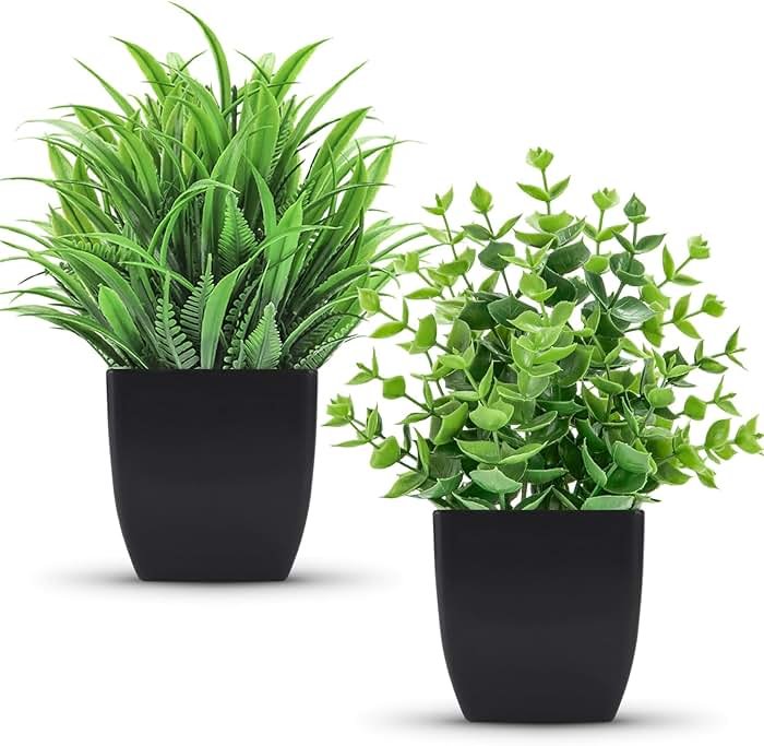 Der Rose 2 Pack Fake Plants Small Artificial Potted Plants Faux Plants Black Bathroom Accessories for Home Office Desk Bathroom Decor Indoor - Product Image