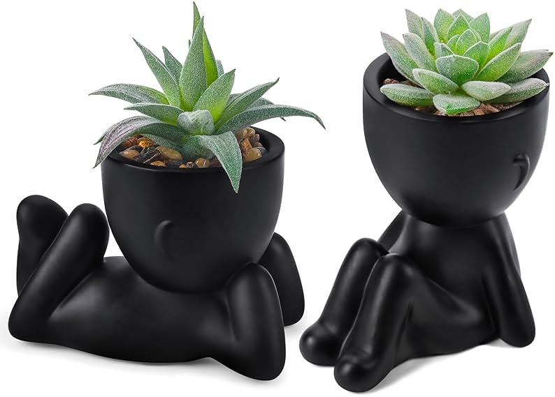 Der Rose Set of 2 Fake Plants Artificial Succulent Plants for Office Desk Accessories Black Bathroom Home Room Aesthetic Decor Indoor - Product Image