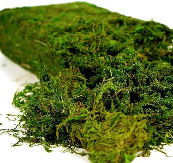 USMOLA Artificial Moss, 16OZ Fake Moss for Crafts Table Centerpieces Fairy Garden Wedding Party Decor, Faux Grass for Potted Plants, 455gr (Fresh Green) - Product Image