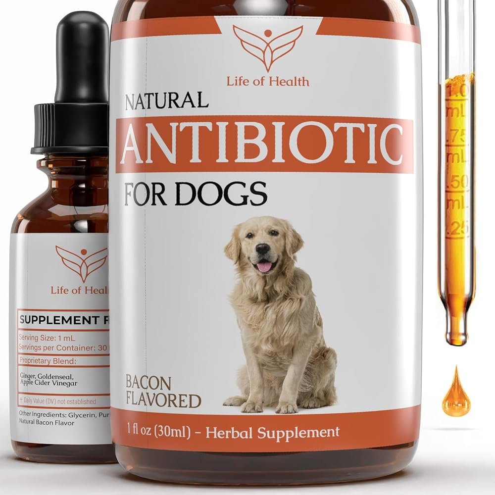 Natural Antibiotics for Dogs | Dog Antibiotics | Dog Ear Infection Treatment | Dog Itch Relief | Yeast Infection Treatment for Dogs | Dog Antibiotic | Pet Antibiotics | Antibiotic for Dogs | 1 oz - Product Image