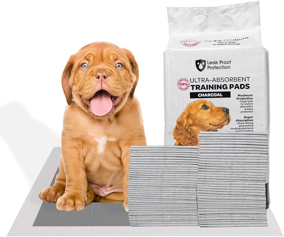 FPN Puppy Pads for Dogs 100 Count Charcoal Small 13X18 Inch | Disposable Pee Pads for Puppies & Small Dogs | Pet Training Pads for Potty Training, Small Dog Pee Pads, Puppy Pads Bulk - Product Image