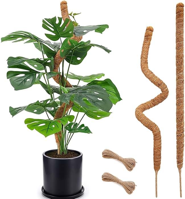 2 Pack Moss Pole, 28 Inch Bendable Moss Pole for Plants Monstera, Moss Poles for Climbing Plants Indoor, Coir Plant Pole Sticks Support Stakes for Potted Plant, Pothos, Philodendron - Product Image