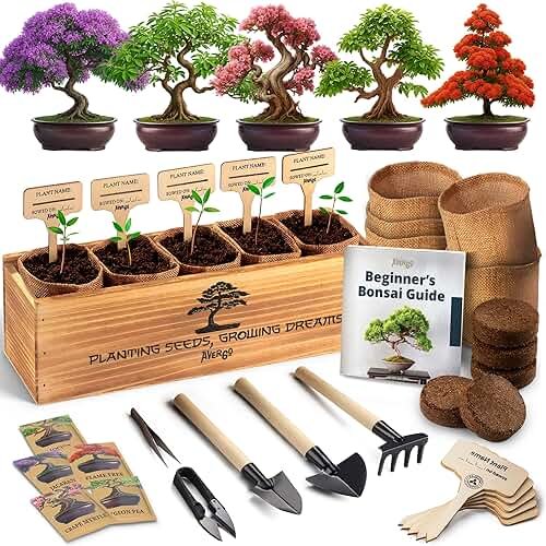 DIY Bonsai Tree Kit for Beginners – 5X Unique Japanese Bonzai Trees | Complete Indoor Bonsai Starter Kit for Growing Bonsai Plants with Tools & Planters – DIY Gardening Gifts for Women & Men - Product Image