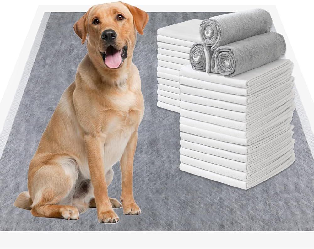 TinyWiz Dog Pee Pads Odor-Control Super Absorbent Charcoal Potty Training | extra large pee pads xxl, disposable urine bed pads for odor-control, training liners for housebreaking puppy pads 30 pcs - Product Image