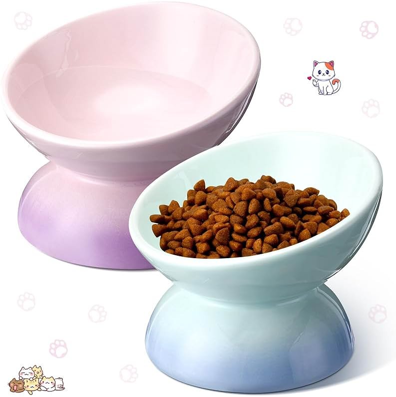 Hushee 2 Pcs Elevated Cat Food Bowl Ceramic 15 Degree Raised Cat Water Bowl 4 oz Slanted Tilted Anti Vomiting for Kitten Small Dogs Pet, Dishwasher Microwave Safe - Product Image