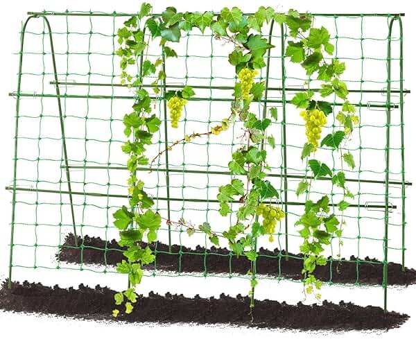 FOLLOOK Cucumber Trellis for Raised Garden Bed, Rustproof Metal Garden Arch Trellis for Climbing Plants Support Outdoor Fruit Grape Vine Vegetable Tomato Bean Pea Trellis, 63x48inch, Green - Product Image