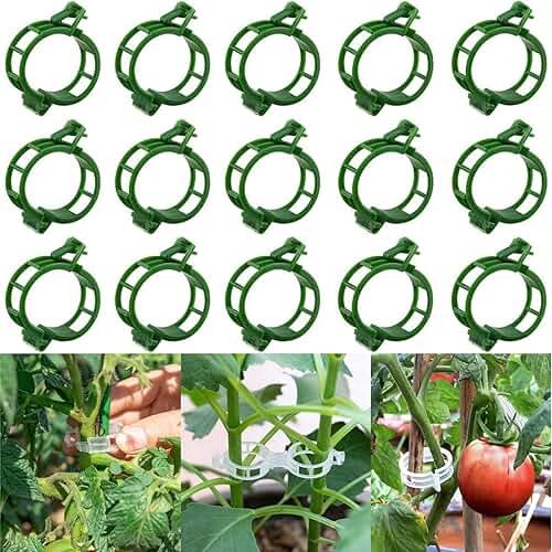 50 PCS plant clips, garden clips for climbing plants, plastic bracket clips，tomato clips，grape，vine，vegetable plant Clamps for climbing plants clear Plants to Grow Upright and make plants Healthier - Product Image