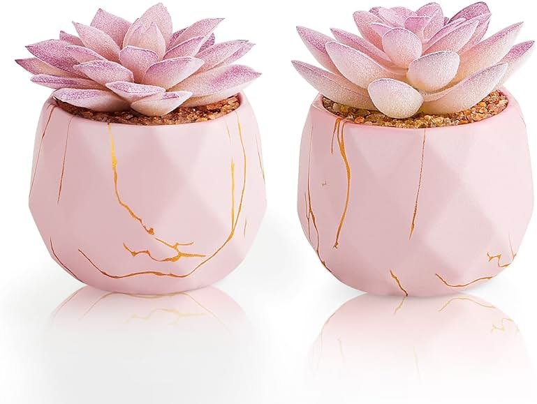 ZENIDA Artificial Succulent Plants in 2 Pink Ceramic Pots, Cute Fake Plants for Vanity Decor,Office, Desk, Bathroom, Kitchen,Bedroom, Shelves Decor for Women,Girls Gift - Product Image