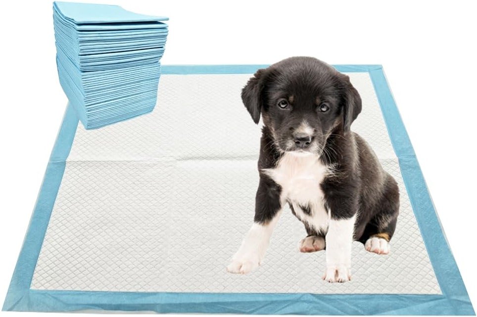 3Q Puppy Pee Pads, 22 x 22 Inch Leak-Proof Pet Potty Training Pads for Dogs, Quick Absorb 6-Layer Design, Ideal for Puppies, Cats, Rabbits, and Guinea Pigs (Blue-50 Count) - Product Image