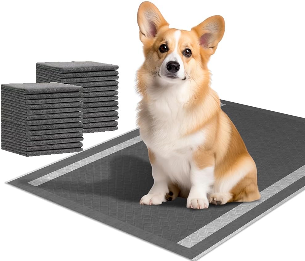 Camonti Dog and Puppy Pee Pads 100 Count, 23'' x 30'' Charcoal Odor-Control Puppy Pads with Leak-Proof Quick-Dry Design, Pet Training Pads for Potty Training Strong Absorbency - Product Image